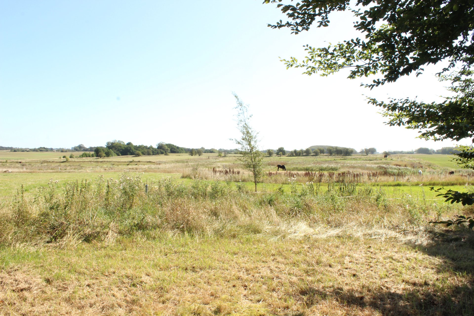 Landejendom på Fragtrupvej 2 9640 Farsø.