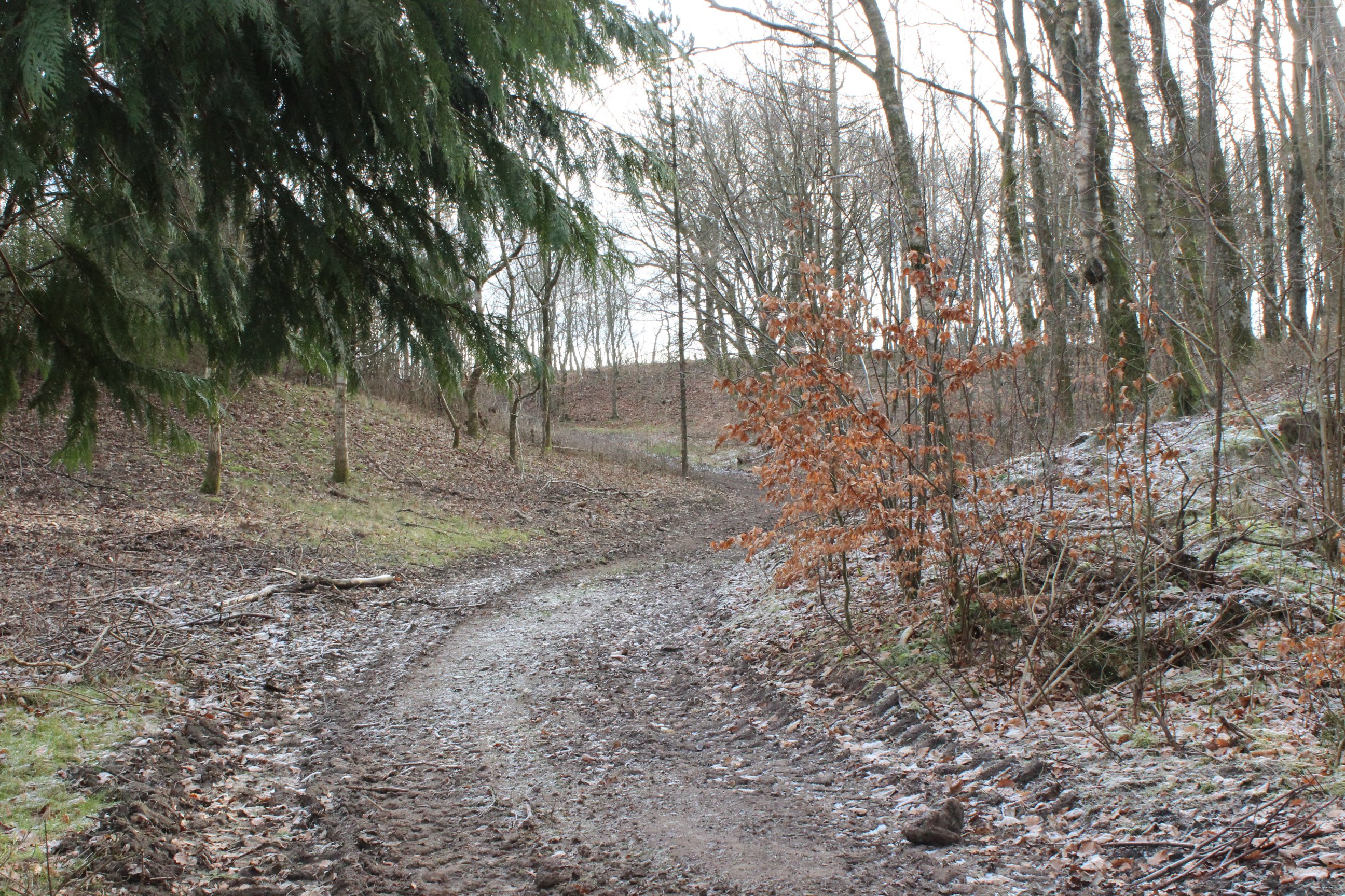 Landejendom på Rævkærvej 21 9640 Farsø.